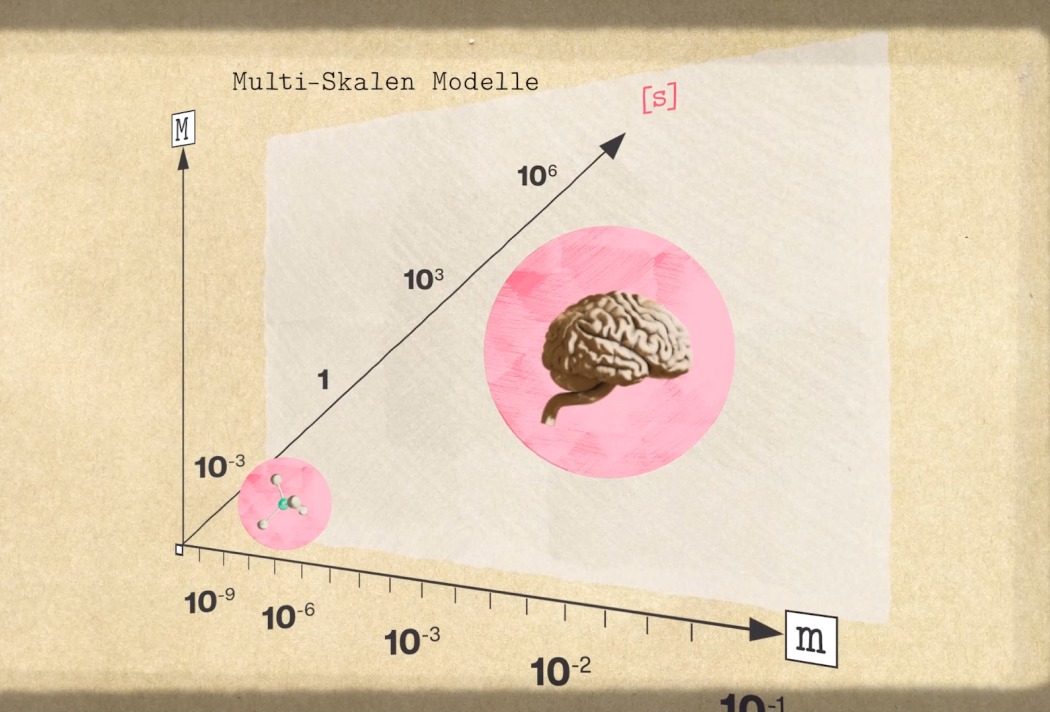 Schaubild der Multi-Skalen Modelle mit Gehirn und Molekül auf log-skalierten Achsen.
