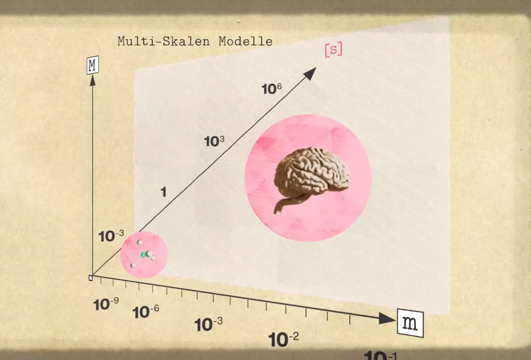 Schaubild der Multi-Skalen Modelle mit Gehirn und Molekül auf log-skalierten Achsen.